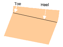 Fig 8: Simple acute laminitic hoof capsule model
